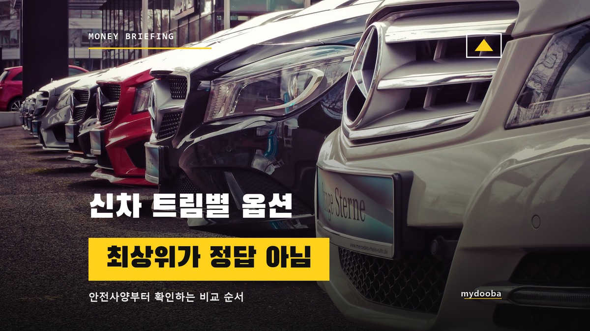 신차 트림별 옵션 비교법, 항상 정답은 아닌 최상위 트림